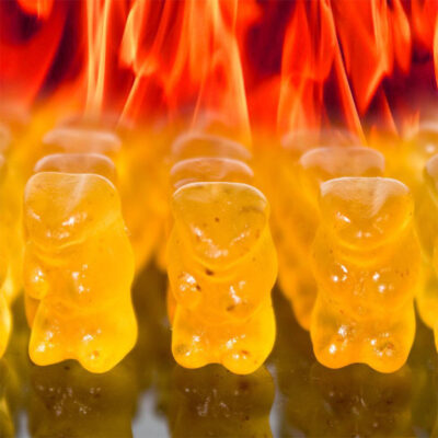 Evil Hot Gummi Bears