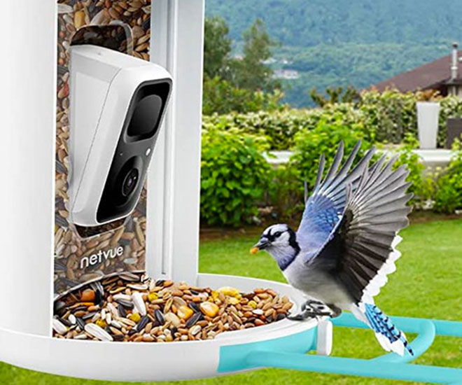 NETVUE Birdfy Lite Smart Bird Feeder with Camera