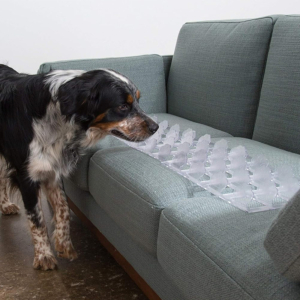 Pet Couch Guard