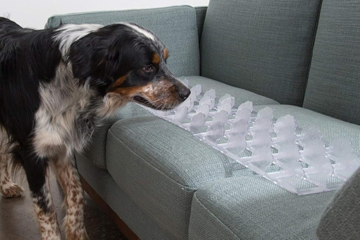 Pet Couch Guard